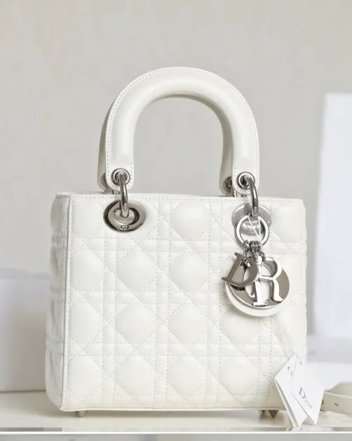 디올 Lady Dior  MY ABCDIOR 20 x 16.5 x 8 cm