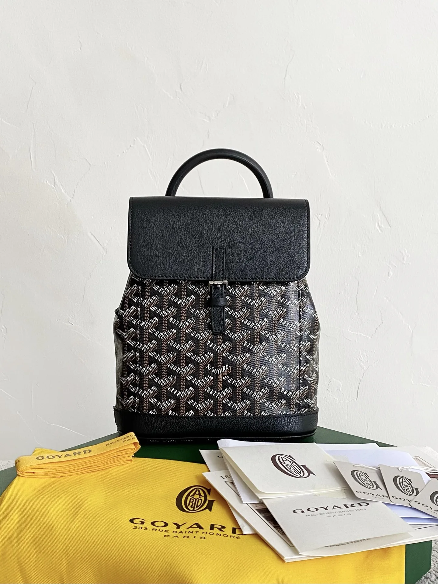 GOYARD Alpin Mini Backpack 23×19×9.5cm