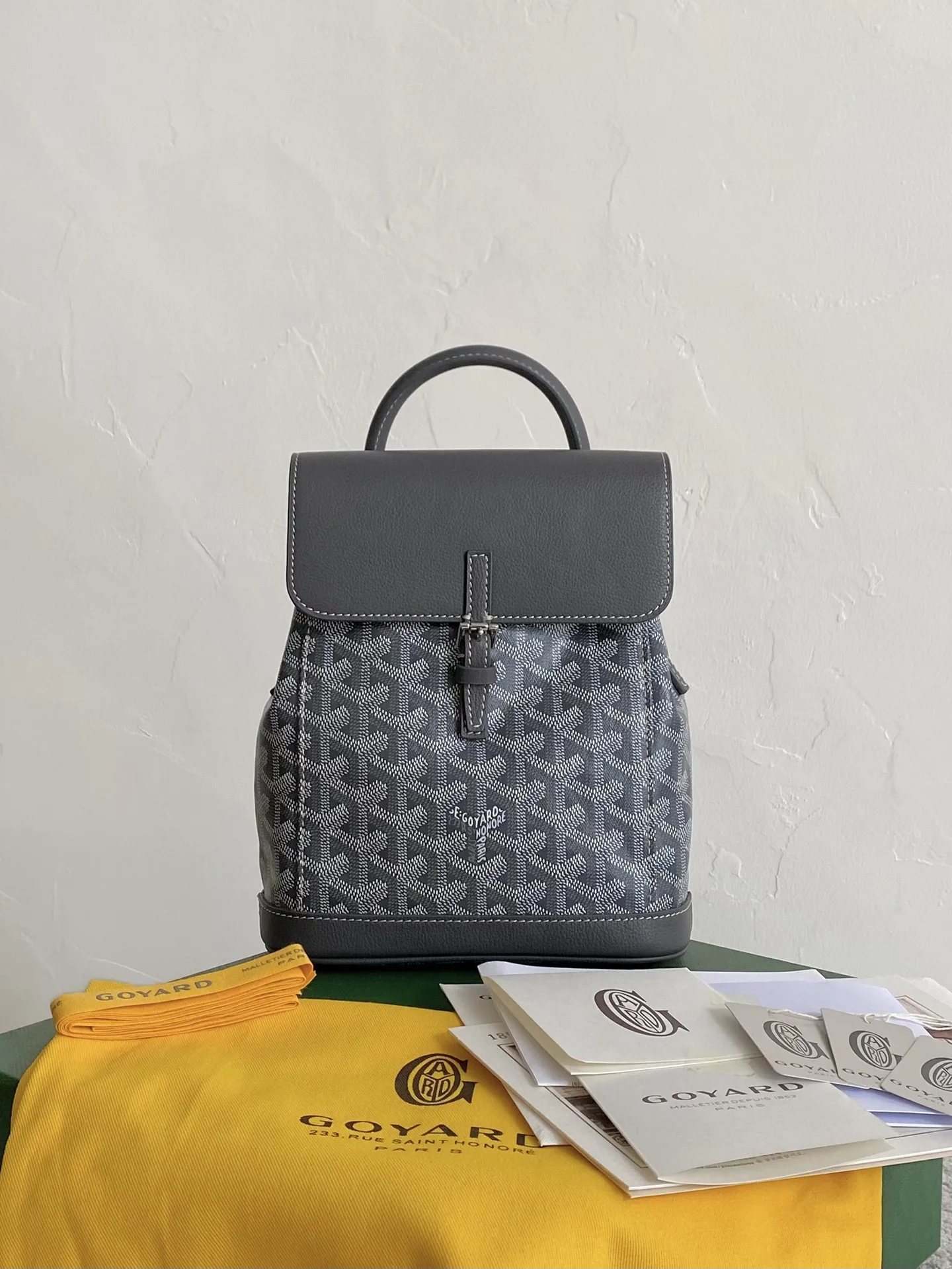 GOYARD Alpin Mini Backpack 23×19×9.5cm